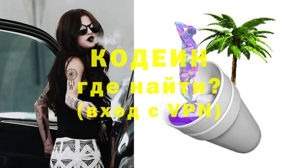 ГАЛЛЮЦИНОГЕННЫЕ ГРИБЫ Гусь-Хрустальный