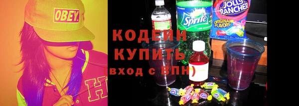 2c-b Гусев
