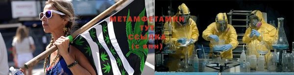 ГАЛЛЮЦИНОГЕННЫЕ ГРИБЫ Гусь-Хрустальный