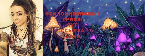 2c-b Гусев