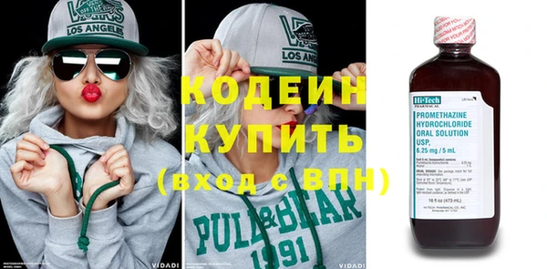 ГАЛЛЮЦИНОГЕННЫЕ ГРИБЫ Гусь-Хрустальный
