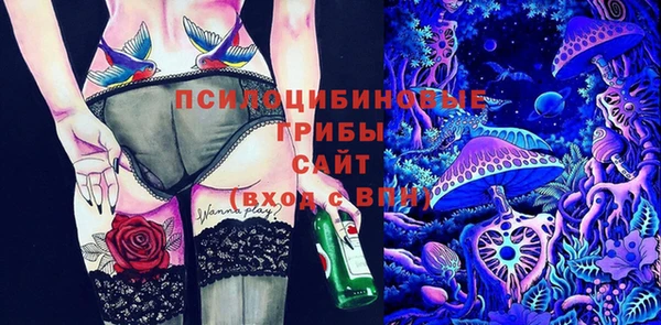 2c-b Гусиноозёрск