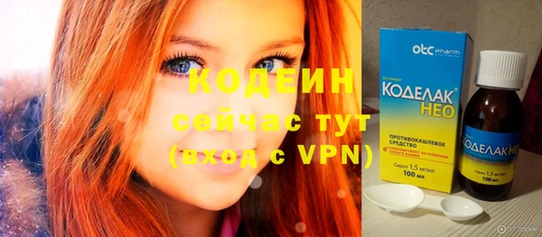 ГАЛЛЮЦИНОГЕННЫЕ ГРИБЫ Гусь-Хрустальный